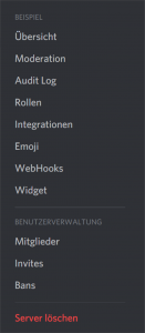 Discord Server einstellen